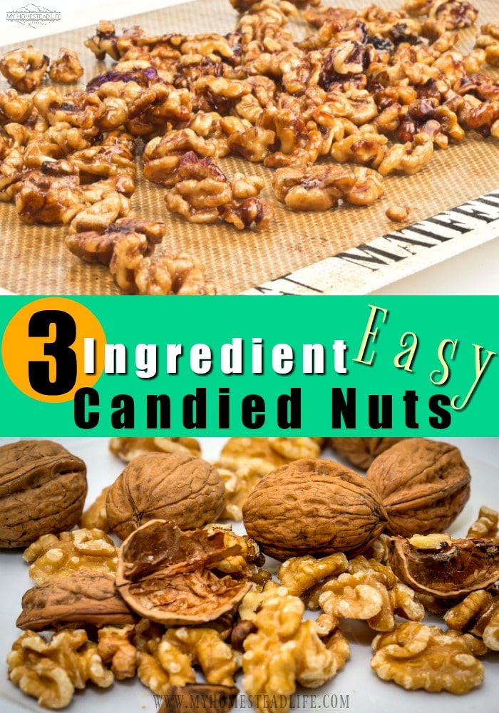 how-to-make-candied-nuts-walnuts