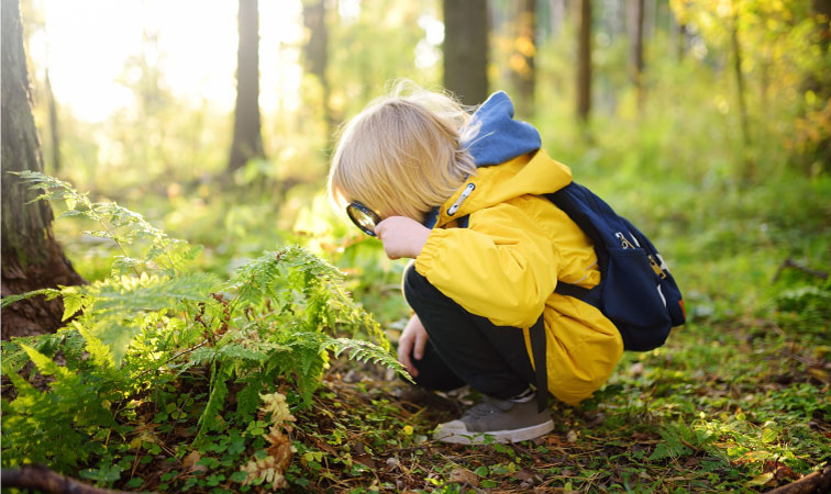 A child looking through a magnifying glass in a forest