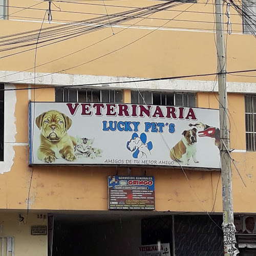 Opiniones de Lucky Pet's en Huancayo - Veterinario