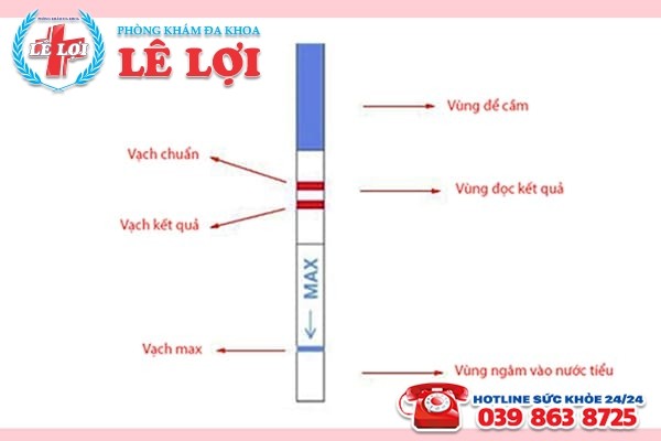 Cách đọc kết quả của que thử thai chính xác nhất