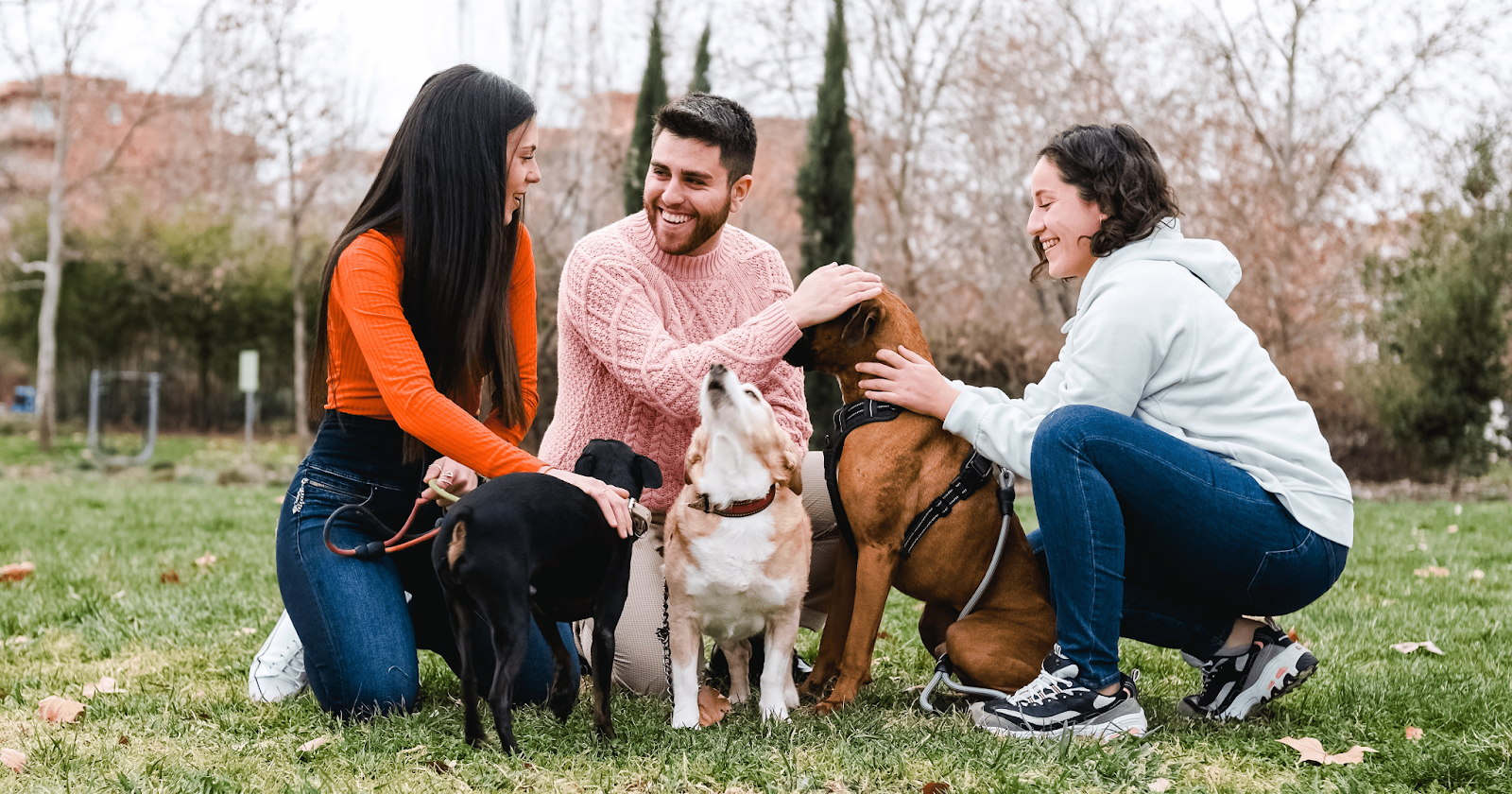 Group of friends with 3 dogs