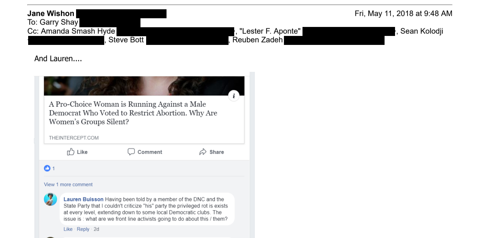 A screen shot of a Facebook post that was embedded in an email. The Facebook post is a link to an article with the headline "A Pro-Choice Woman is Running Against a Male Democrat Who Voted to Restrict Abortion. Why Are Women's Groups Silent?" and a comment from Lauren Buisson that reads: "Having been told be a member of the DNC and the State Party that I couldn't criticize "his" party the priviledged rot is exists at every level, extending down to some local Democratic clubs. The issue is- what are we front line activists going to do about this/them?"