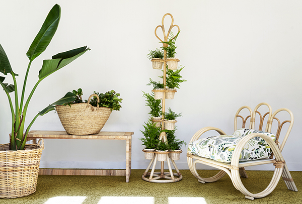 The Cape Weaver Collection: The Amanda Lindroth Plant Stand & Cynthia Ferguson Bench