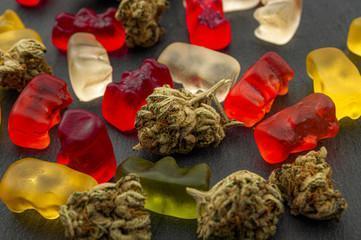 Cannabis edibles, medical marijuana, CBD infused gummies and edible pot concept theme with close up on colorful gummy bears and weed buds on dark background