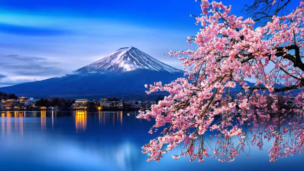 Download Fuji Mountain And Cherry Blossoms In Spring Japan Stock Photo - iStock