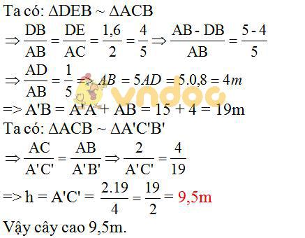Giải bài tập SGK Toán lớp 8 bài 9: Ứng dụng thực tế của tam giác đồng dạng