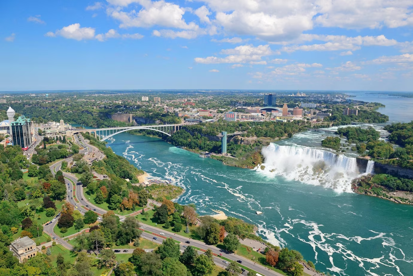 Cascada Niagara - floră