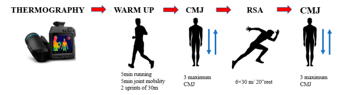 Thermal asymmetries and hamstring