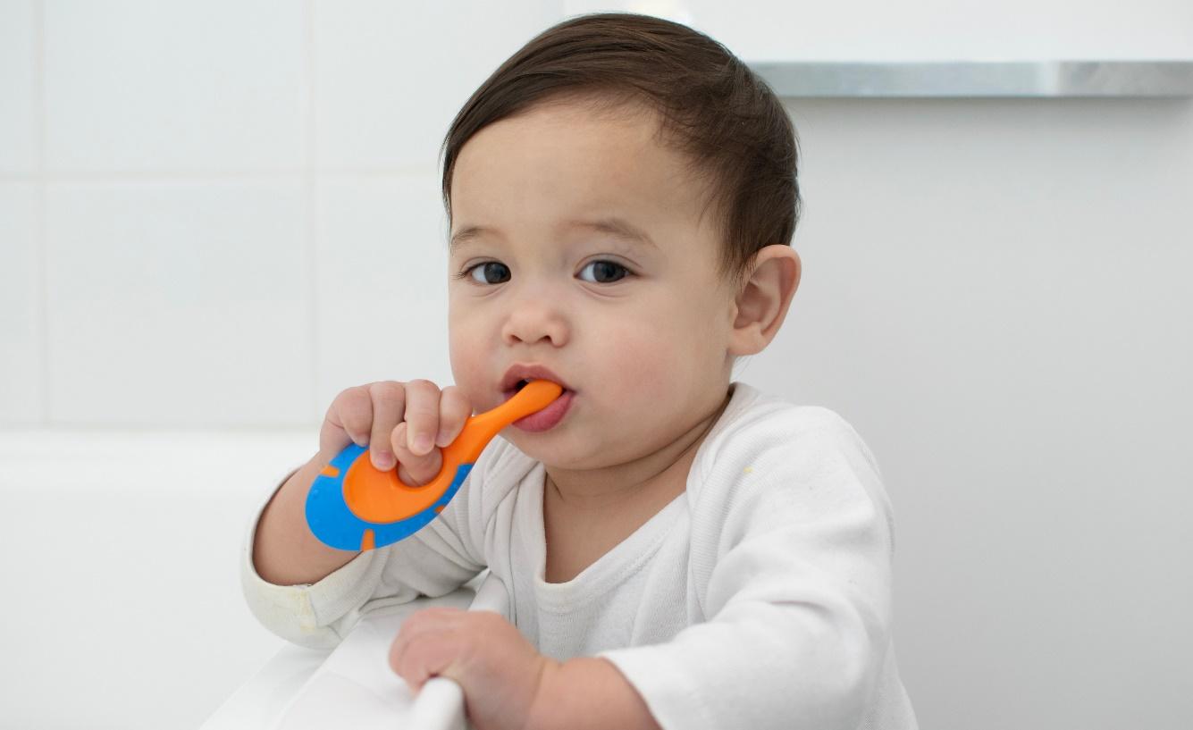 A baby holding a toothbrush

Description automatically generated with low confidence