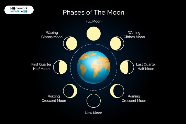 The Phases of the Moon| Lunar Phases Overview