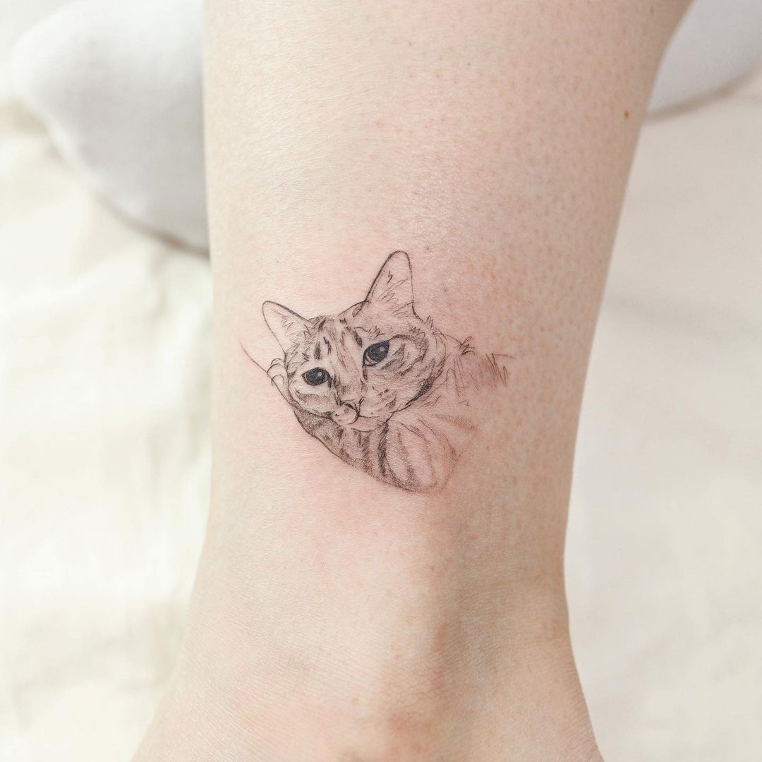 Cat’s Face Tattoo