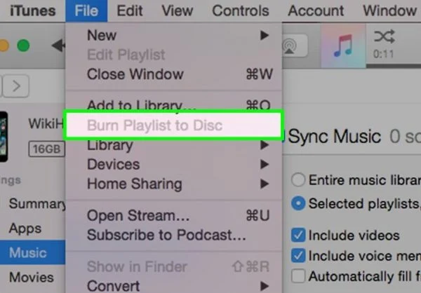 Another important way to use iTunes is to burn CDs.  Were you aware of this feature?