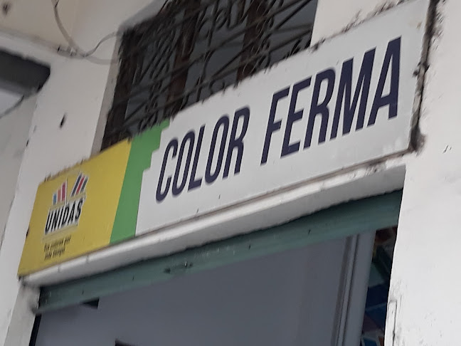Almacen De Pinturas Color Ferma - Tienda de pinturas