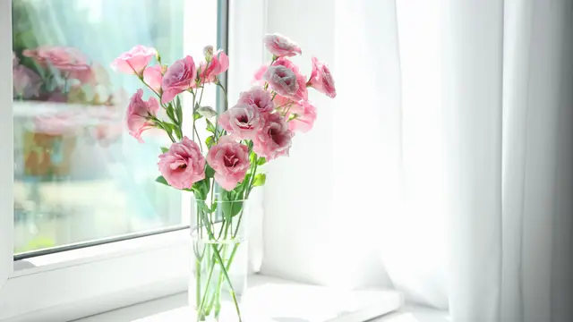 Membuat Bunga Dahlia dari Plastik