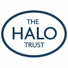 halo.jpeg