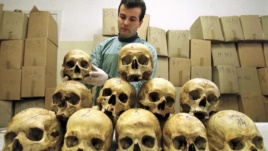 Боснийский патологоанатом изучает черепа жертв массовых убийств в годы войны в больнице Тузлы, 28 марта 1997 г.