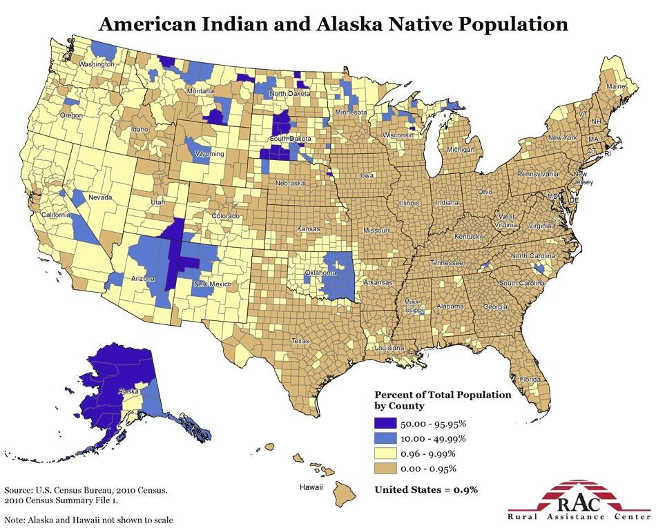 American Indian and Alaska Native Population