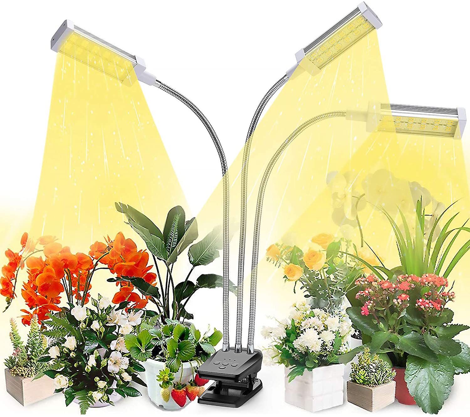 Best Grow Lights for Flowering & Seedlings Plants