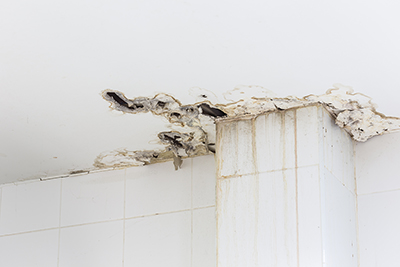 Waterproofing protects against structural damage