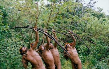 Tribo mais ameaçada do mundo alerta para risco com caça e exige ...