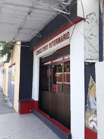 Opiniones de Consultorio Veterinario en Guayaquil - Veterinario