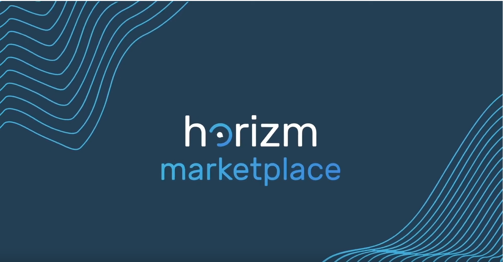 Horizm - Digital Audiences Unlocked