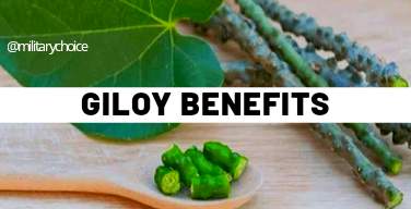 10 Incredible Health Benefits of Giloy