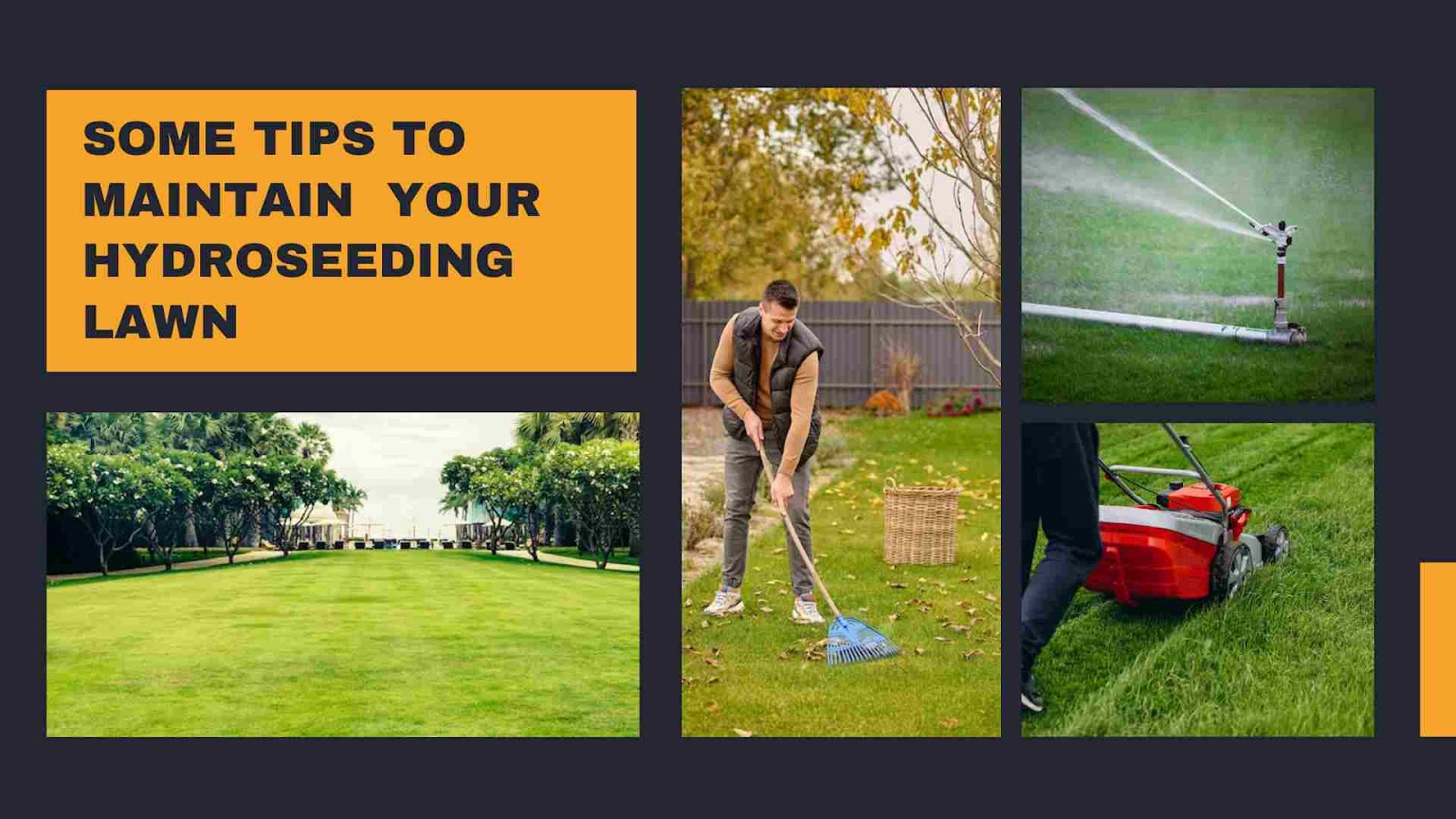 Some Tips to Maintain Your Hydroseeding Lawn 