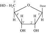 http://www.meritnation.com/img/lp/1/12/5/273/961/2072/2032/16-6-09_LP_Utpal_Chem_1.12.5.14.1.4_SJT_LVN_html_m15c88145.png