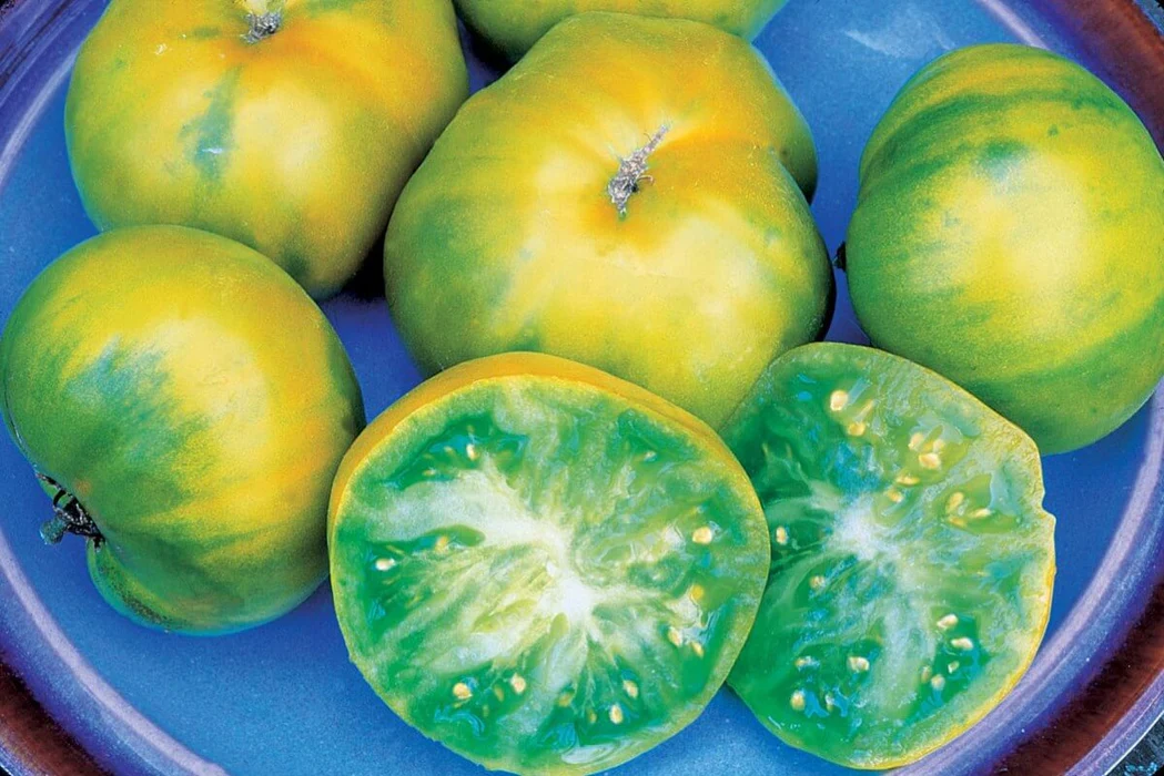 Aunt Ruby's German Green