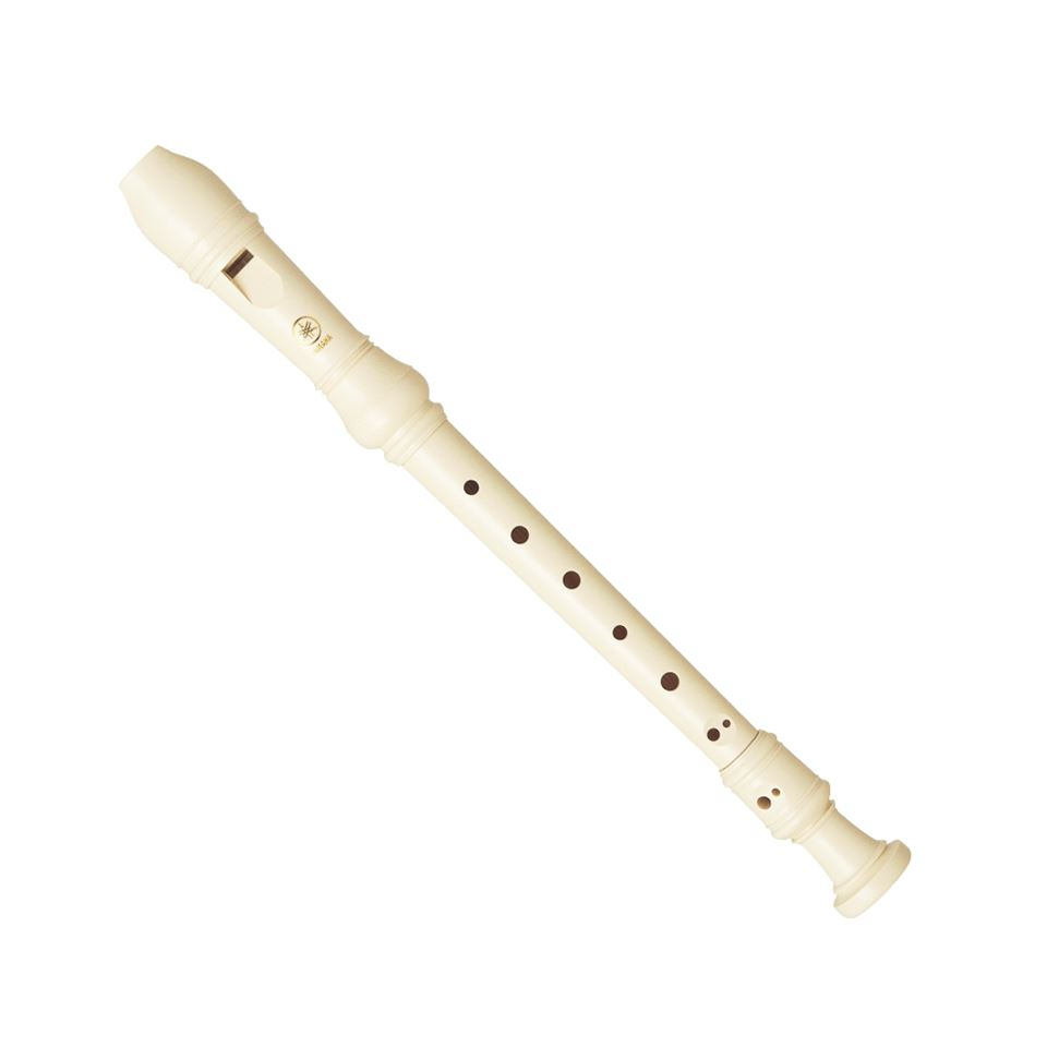 Playing An Instrument (Recorder)