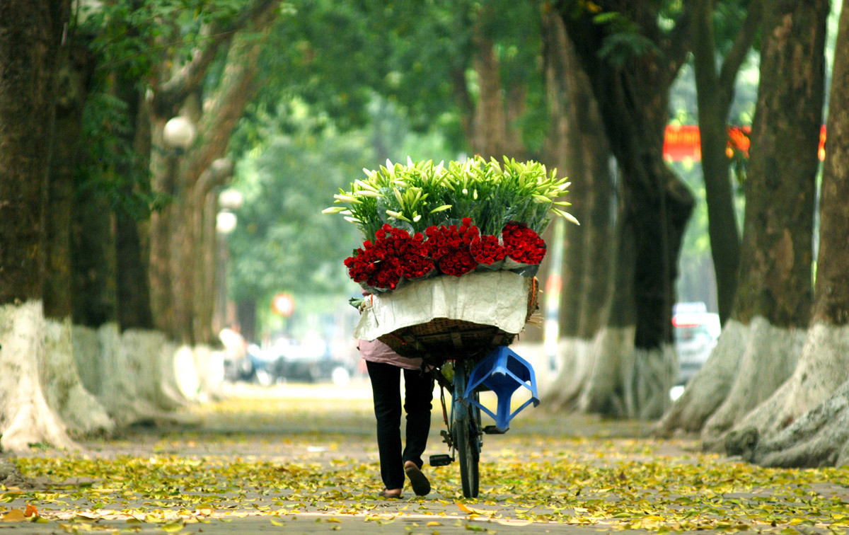 Thu Hà Nội dường như là mùa ấm áp nhất trong năm ở Thủ đô vì được vô số thơ ca nhắc đến