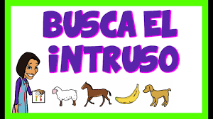 Busca el intruso | Categorías semánticas - YouTube