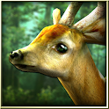 Forest HD apk
