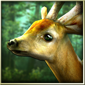 Forest HD apk Download