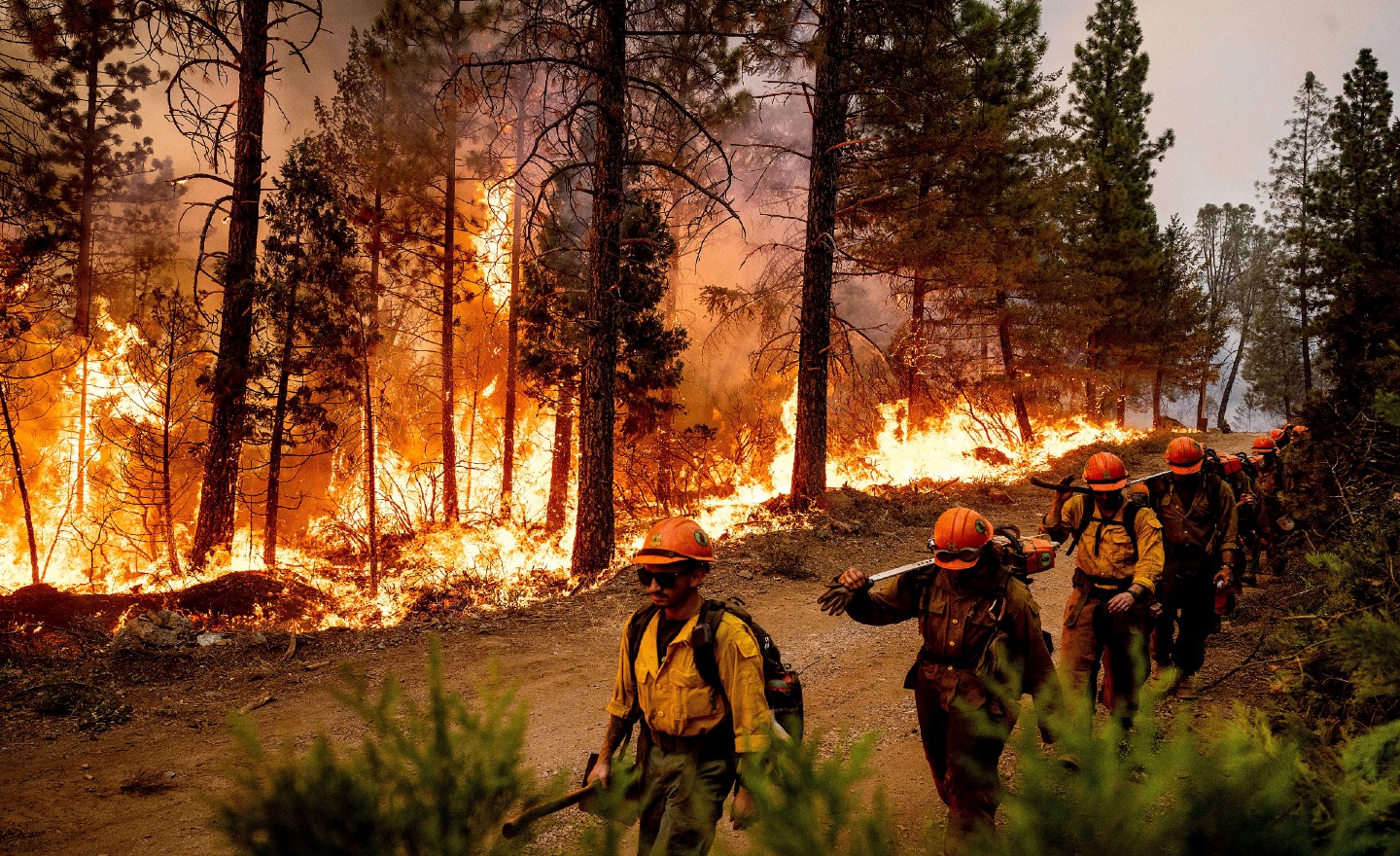 These are the four largest fires currently burning in the Western US – The  Hill