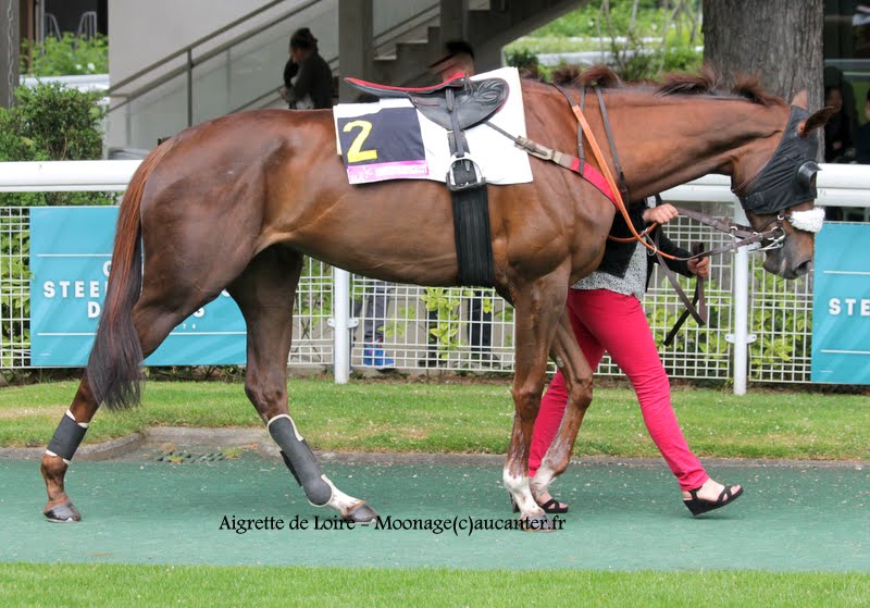 Photos Auteuil 16-05-2015 Week-end printanier de l'obstacle  7DwXPEtDBvesrFy1wsZ4aKA2LlR70Oq34C5BV8pGx9OF=w800-h559-no