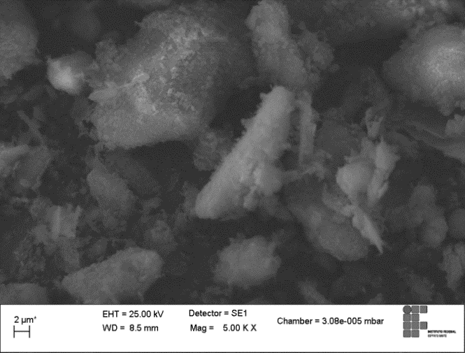 C:\Users\Maria Catarina\Documents\mevargila_A_5000X1.tif