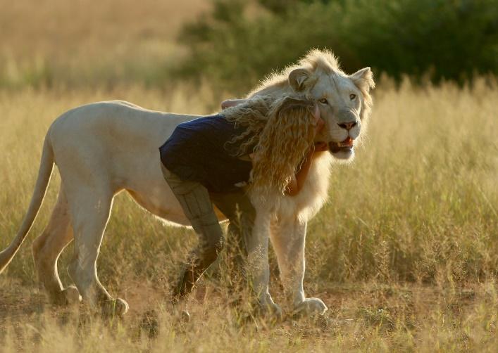 2.MIA AND THE WHITE LION  4