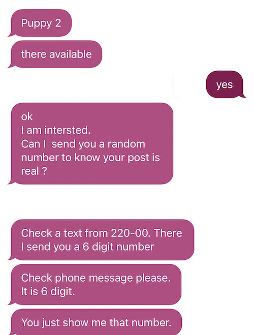 Representation of text message exchange used in 6-digit code scam.