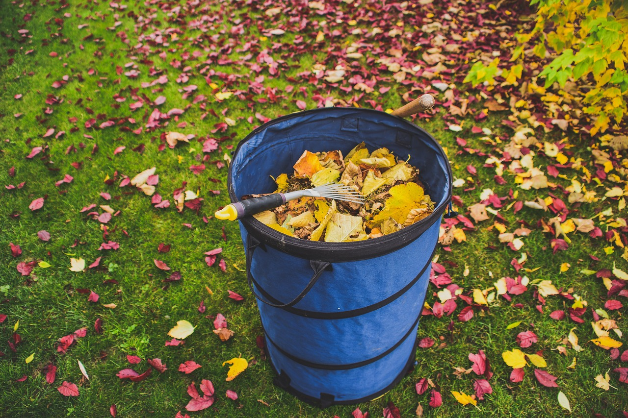Explore The Best Leaf Vacuum: Time To Clean Up Your Garden!