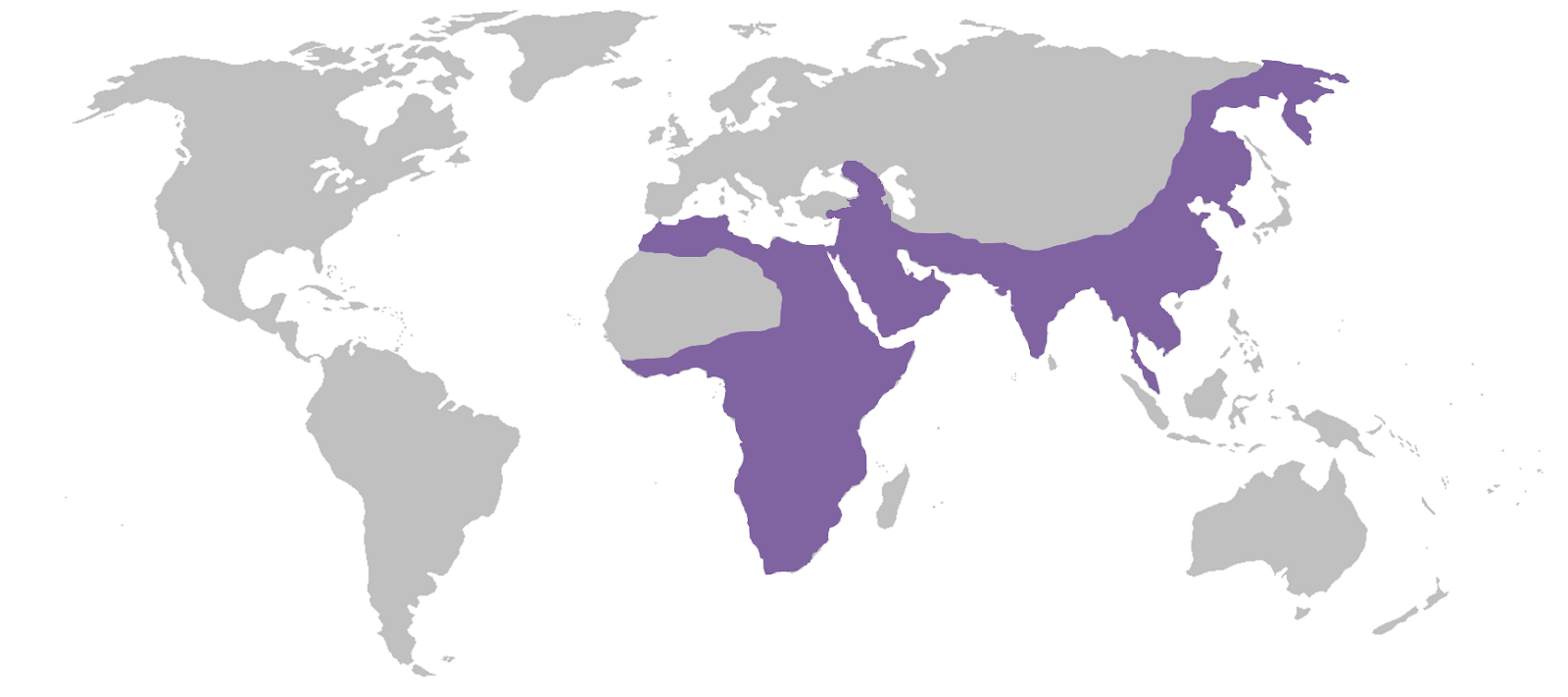 http://upload.wikimedia.org/wikipedia/commons/8/8a/Wiki-Panthera_pardus.png