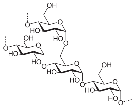 figure shows chemical structure of a segment of amylopectin (a type of starch) with 4 glucose units linked together, including one branch point