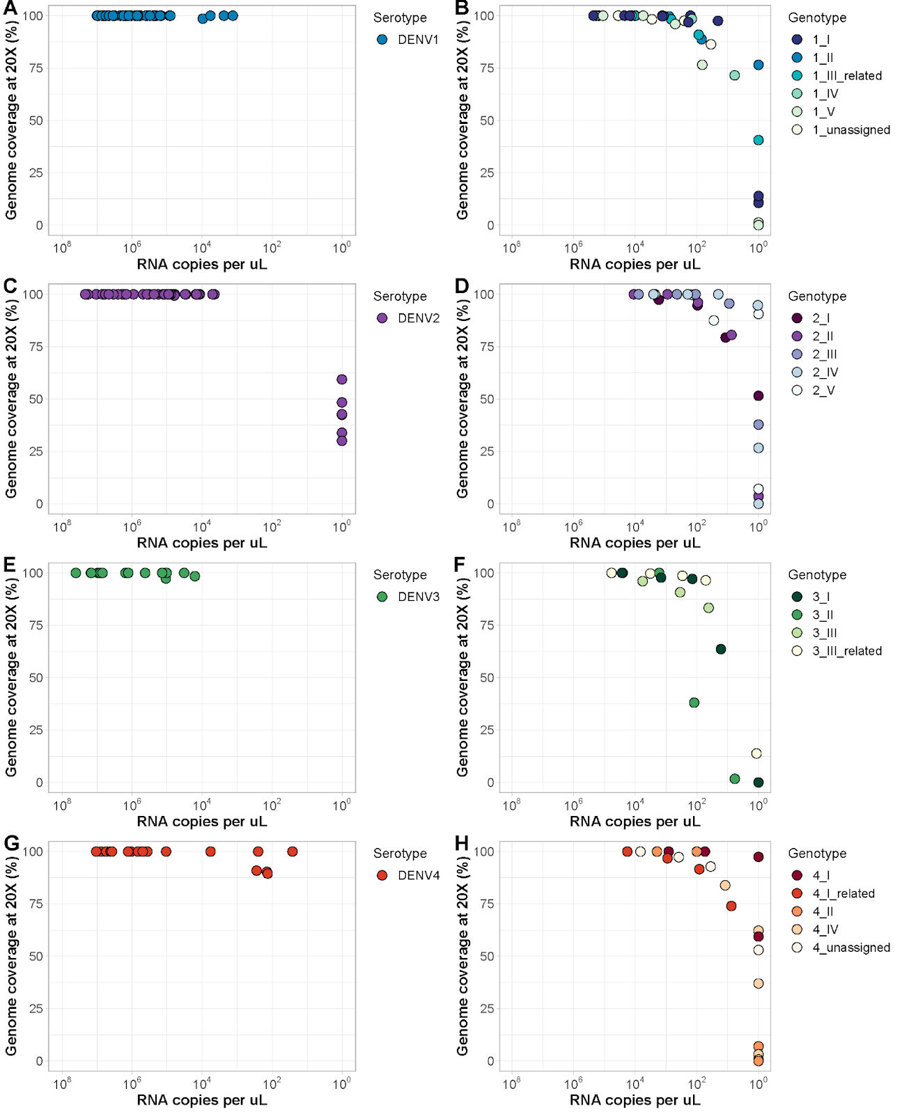Figure 1: Serotype-specific primers - Percent genome coverage of undiluted and diluted dengue virus stocks sequenced with the serotype-specific amplicon-based sequencing approach. Dengue virus serotypes were determined using the CDC real-time RT-PCR assay. Viruses spanning the various genotypes within each serotype were sequenced with the serotype-specific primer schemes using the Illumina COVIDSeq Test (RUO version). Consensus genomes were generated at a depth of coverage of 20X using iVar (version 1.3.1). Genome coverage at 20X for undiluted dengue virus serotype 1 (A), 2 (C), 3 (E), and 4 (G) virus stocks. Each dot represents a different dengue virus stock. Genome coverage at 20X for selected dengue virus serotype 1 (B), 2 (D), 3 (F), and 4 (H) virus stocks diluted until no longer detected by the CDC real-time RT-PCR assay. Dots represent dengue virus stocks diluted to different concentrations. Some samples have high coverage, while not detected by the real-time RT-PCR assay, which is due to mismatches with the primer or probe sequences (lower sensitivity).