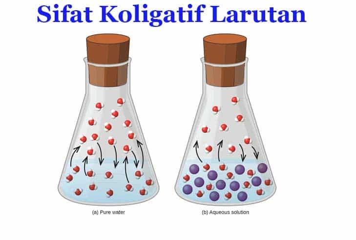 Sifat-Koligatif-Larutan