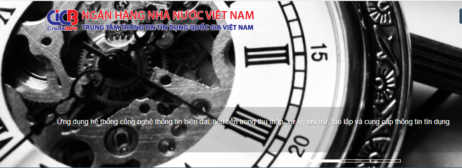 cic việt nam