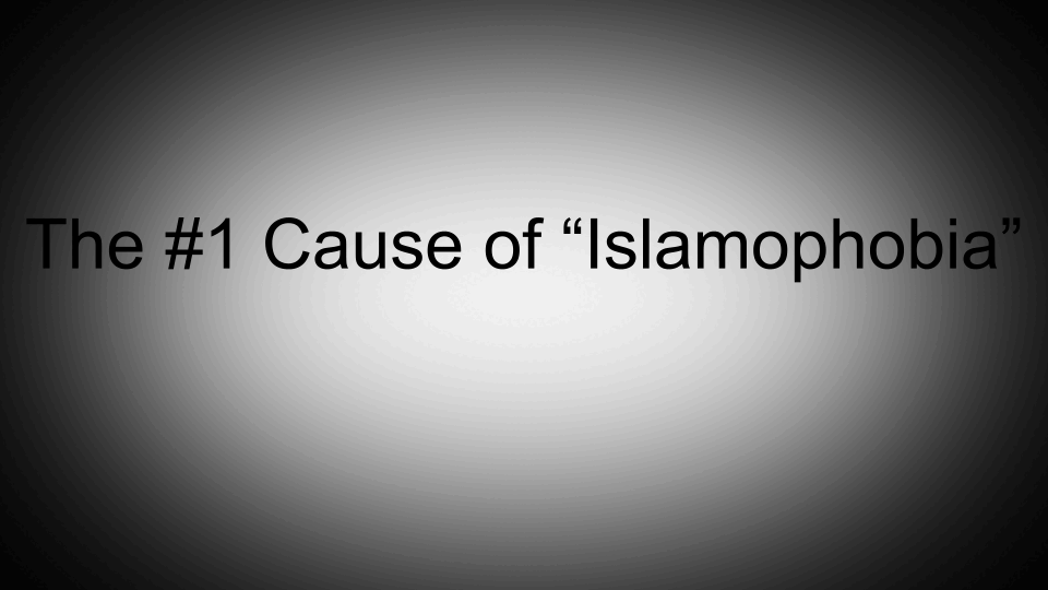 GIF that says the #1 cause of islamophobia is learning about islam.
