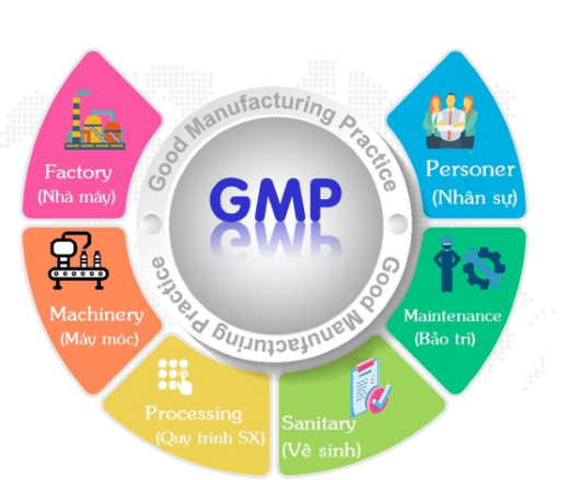 6 yêu cầu đối với nhà máy sản xuất thuốc đạt tiêu chuẩn GMP