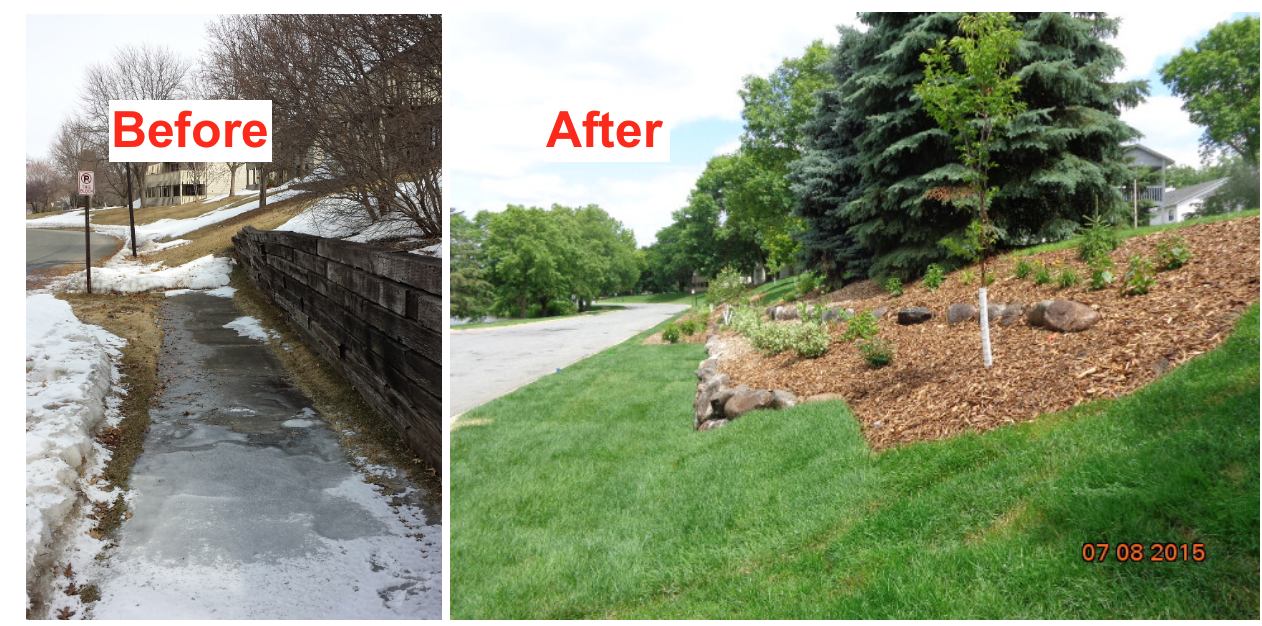 Rain garden before and after 