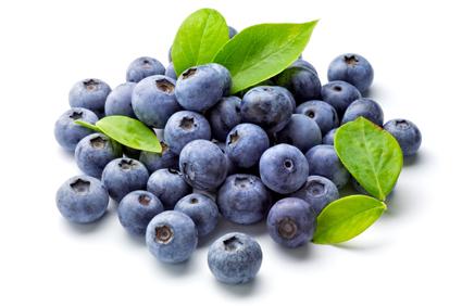 Image result for blueberry